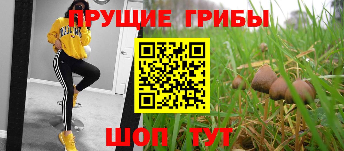 Галлюциногенные грибы MAGIC MUSHROOMS Щёлково